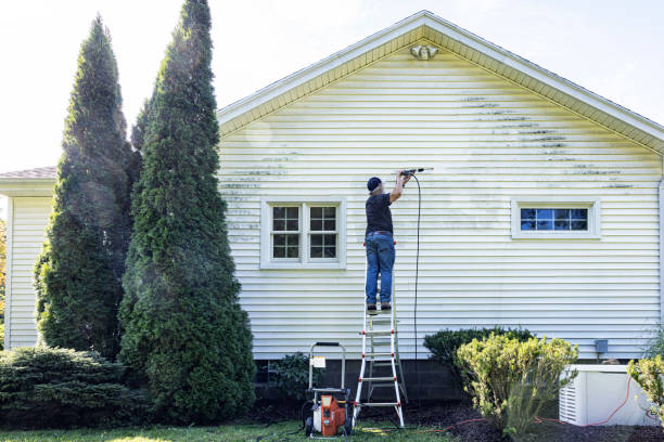 Solar Panel Cleaning in Jasper, TN